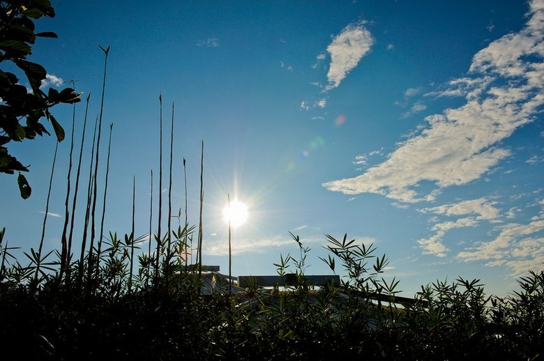 【美丽夏天】凌云直上心高洁-风景照-19摄区-