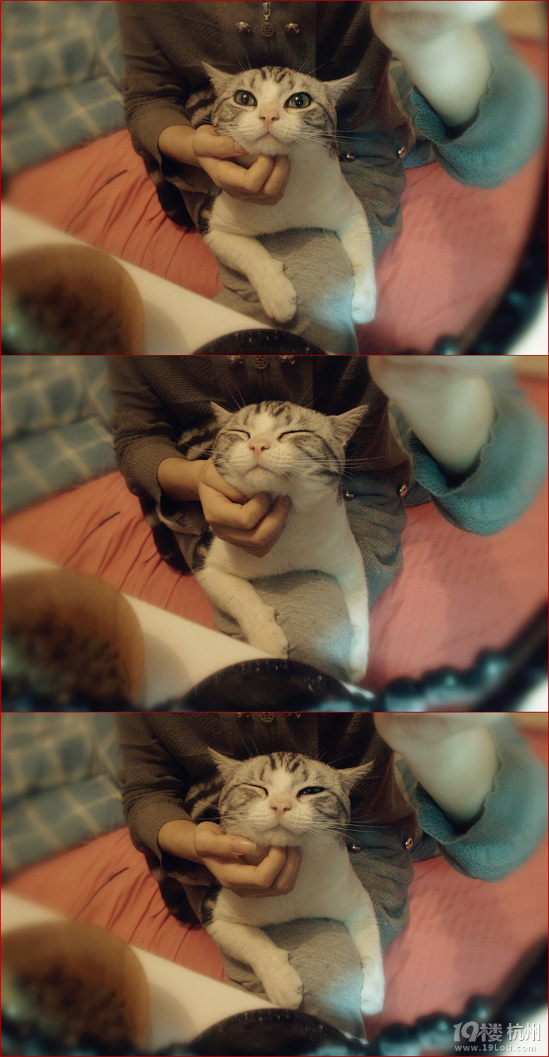 #miumiuu# #ëtomou# աrgӭP(gun)ע