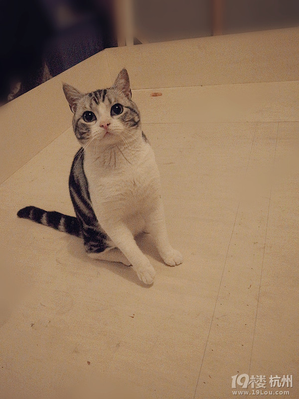 #miumiuu# #ëtomou# աrgӭP(gun)ע