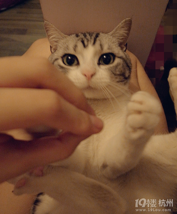 #miumiuu# #ëtomou# աrgӭP(gun)ע