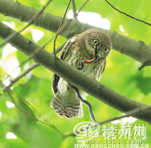 6月6日杭州天气预报:阴雨天气明天开始 一直持