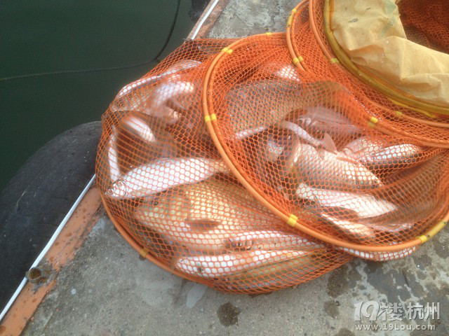 青山绿色千岛湖 钓鱼休闲两不误-驴行游记-钓鱼