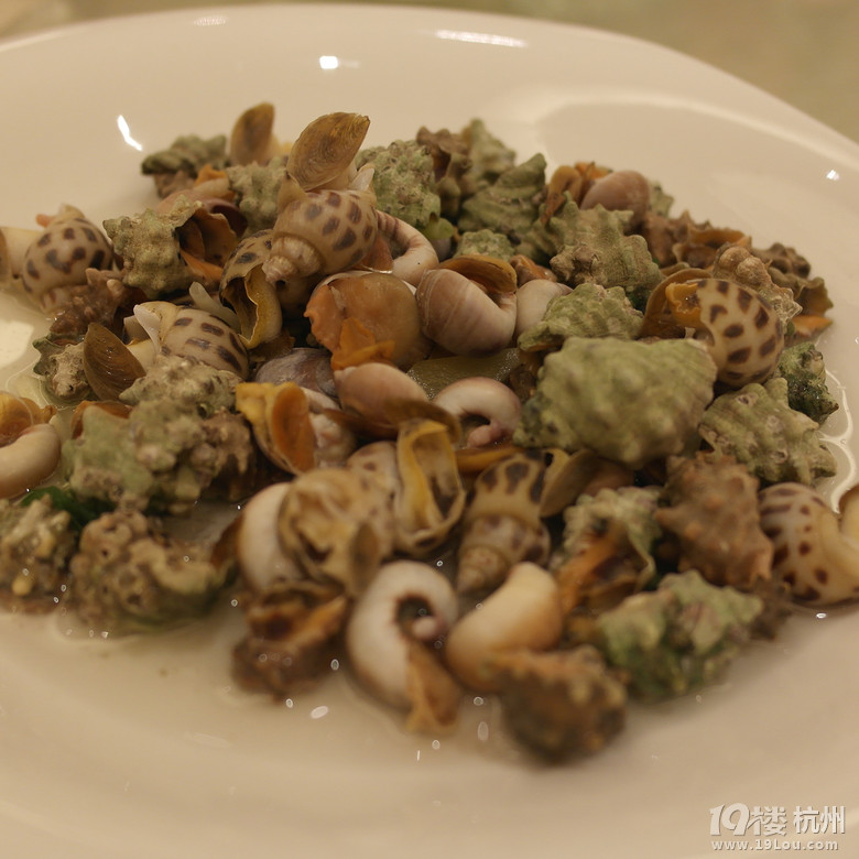 【4队】丸子 陆月# 怀桑 校园季2# 注定,又一个美