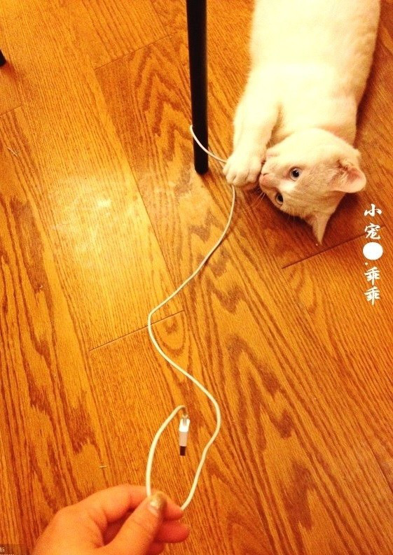 急找工作,有没有招运营、节日、摄影、室内设字体二字美工设计图片