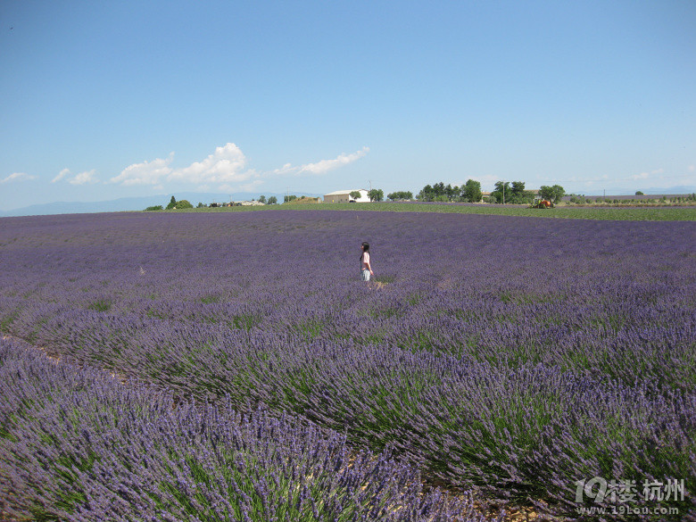 【独自游览欧洲75天12国】那个夏天,行走在欧