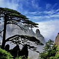 老驴奇侠教你黄山自由行-黄山送礼篇-v奇侠先遣仙剑攻略传手游住宿秘笈图片