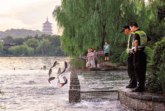 魚躍西湖