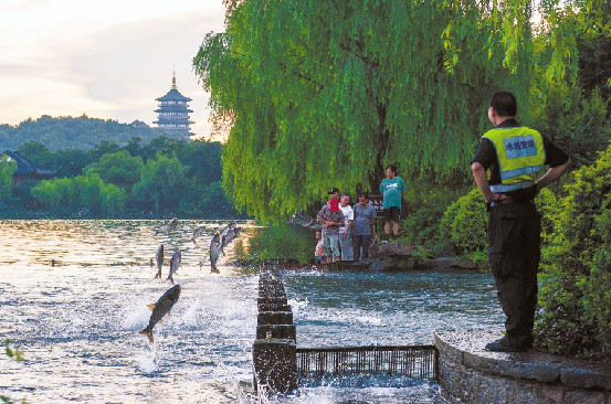 魚躍西湖