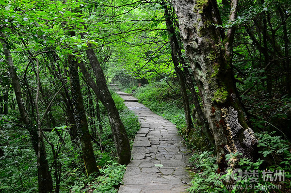 今年夏季穷游张家界森林公园-天门山-芙蓉镇-凤