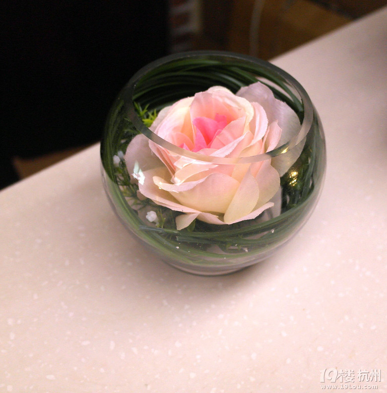 【4队】 怀桑 校园~+友谊蜜蜜大联合DAY DAY-