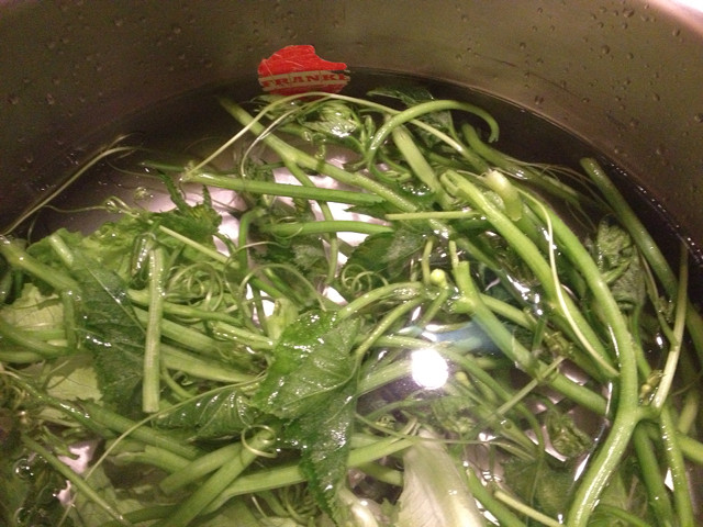 美味的蒜炒南瓜藤（騷騷美食大全）
