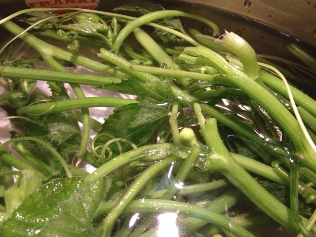 美味的蒜炒南瓜藤（騷騷美食大全）