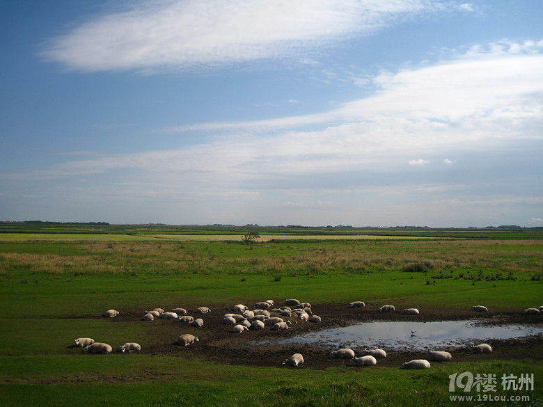 游历荷兰-第3页-游记攻略-旅游先遣队-杭州19楼