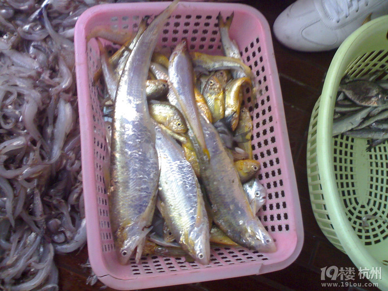 팎ɽʯֳ~ȥ