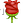  ƴ ɽc