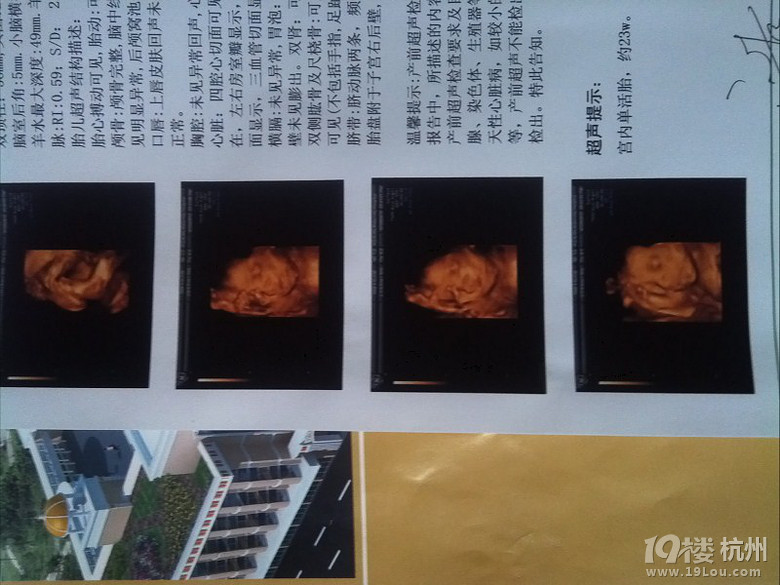 23W，四維歸來，給大家看看啊