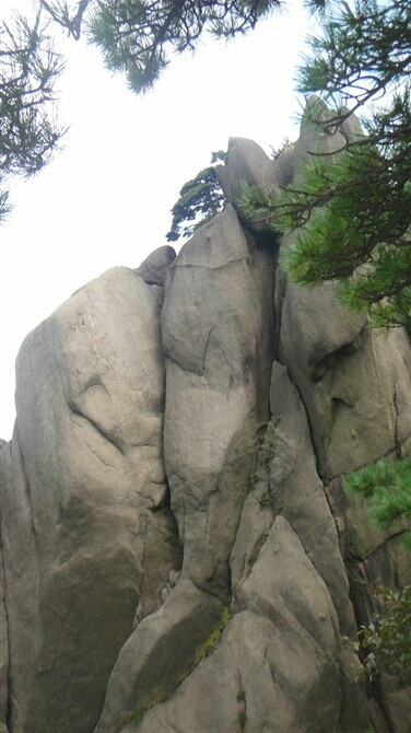 ż