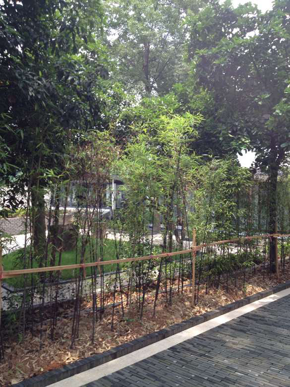 7月是不是热死人的一个月?可我一点都没瘦!所