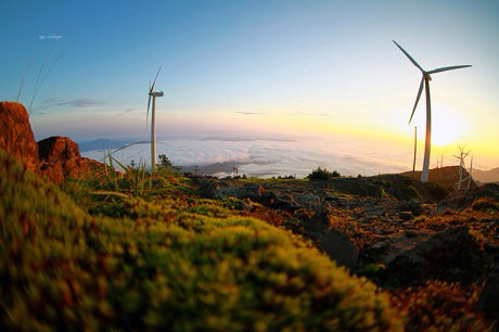 美丽临海'括苍山'热情海创'邀你游057