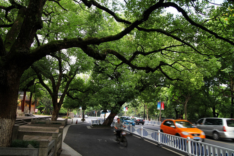 南山路的街景-风景照-19摄区-杭州19楼