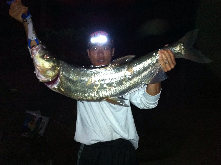 强悍及至把钓鱼路亚发扬光大!