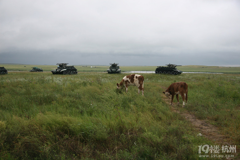 走马阿尔山(八月中蒙边境自助)-游记攻略-旅游先遣队-杭州19楼