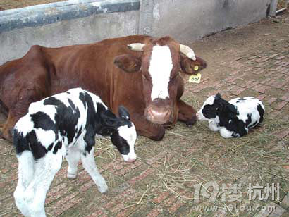 本年度最感人36岁已逝公务员日记 引众网友热