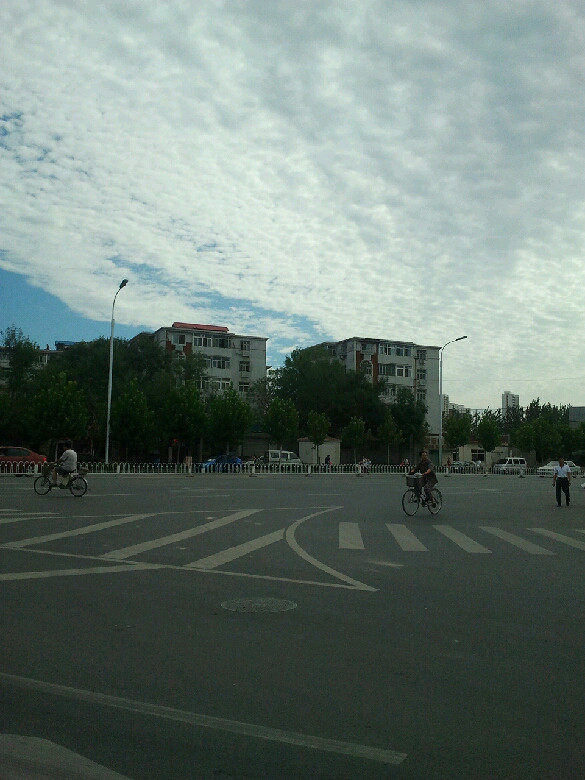 在天津去往滨海新区的路上,天气很好-手机随手