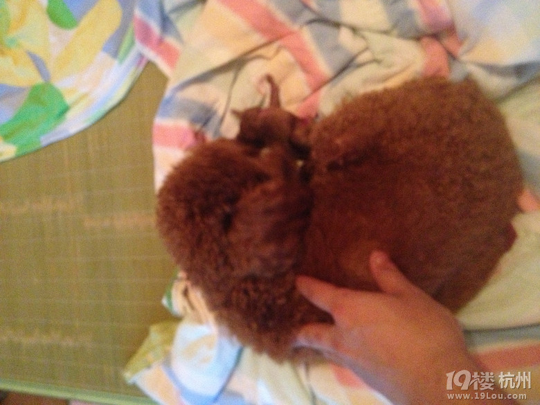 一大早我們家小姑娘開(kāi)始奮斗了，真的非常勇敢。