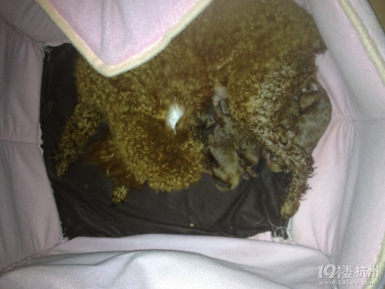 一大早我們家小姑娘開(kāi)始奮斗了，真的非常勇敢。