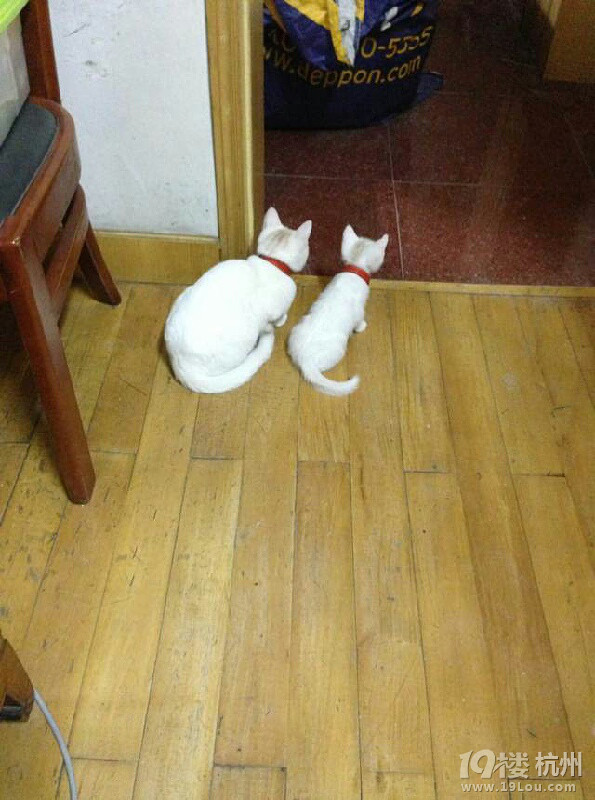 - - 舍不得 