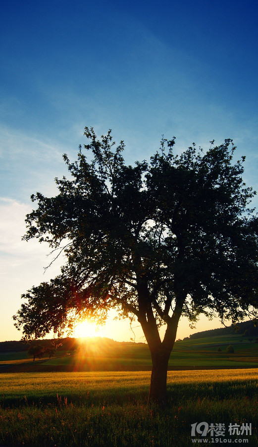 蔡淳佳【依恋】主打--蔡淳佳精选集-音乐心情-