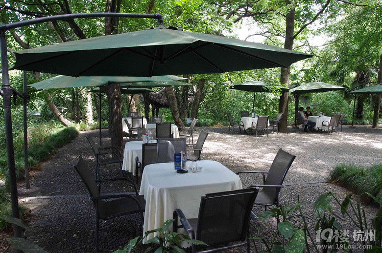 找可容纳周日30个人开会喝茶的场所-活动-美食