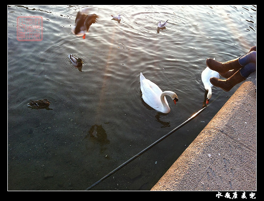 【珂兰钻石新娘日记】比较另类的新娘和比较另