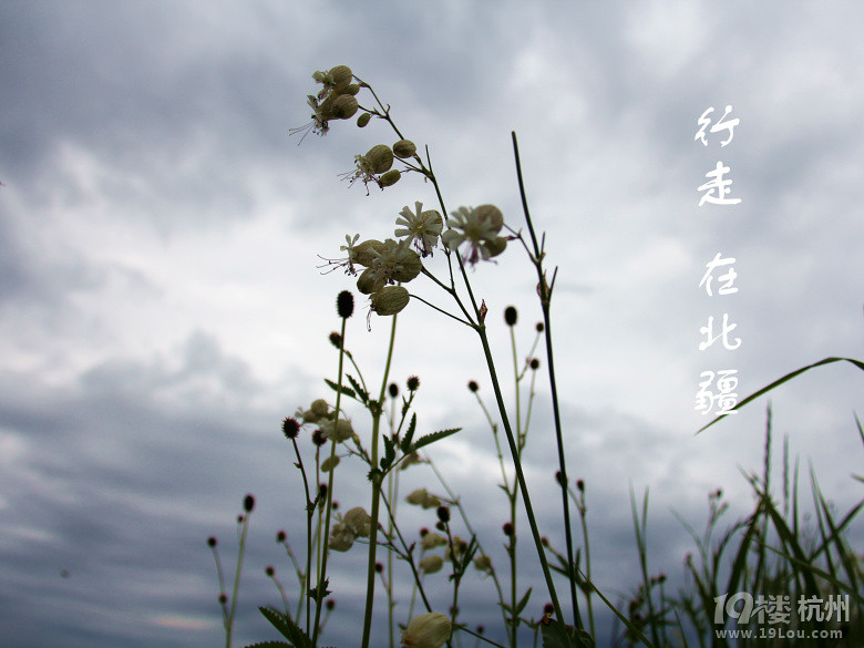 美到坑爹的北疆－－－（史上最詳細(xì)的北疆十日游記）