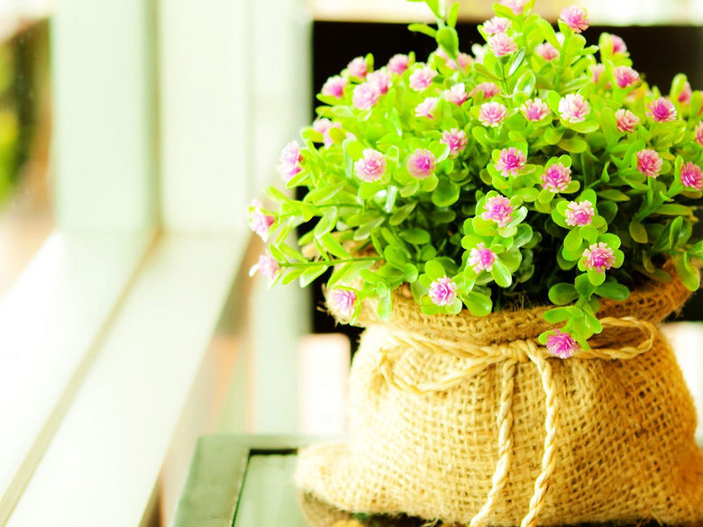 欣赏下美图-女性阅读-杭州19楼