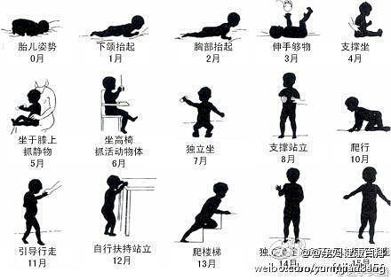 宝宝的大动作发展顺序-婴儿期(1-12个月)-孩爸孩妈聊天室-杭州19楼