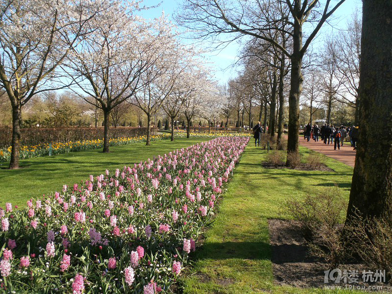 福利福利-分享申根签证-出境游-结伴同行-杭州