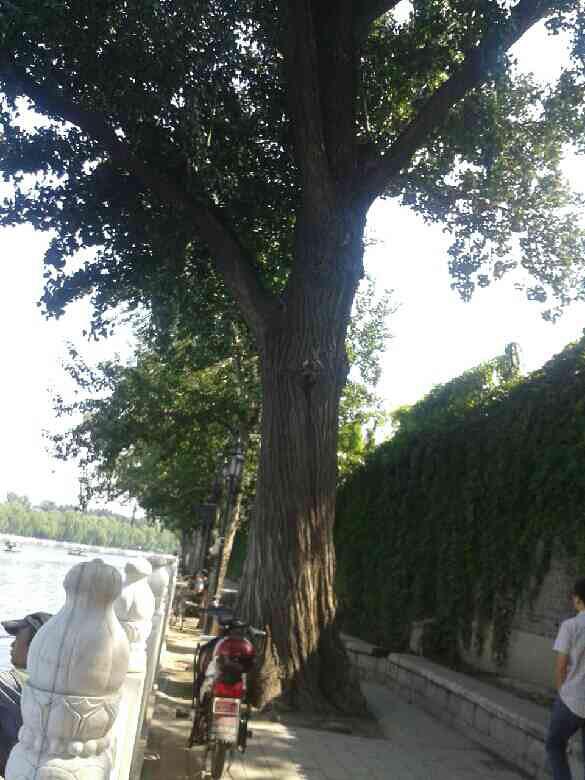 北京帽儿胡同 南铜锣古巷 后海-手机随手拍-杭