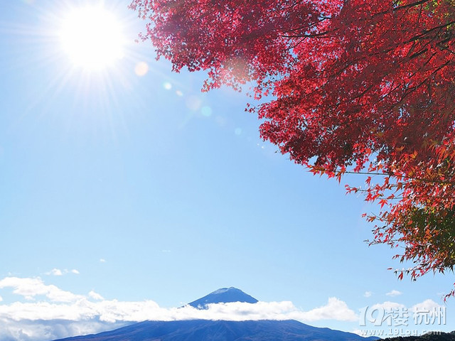 你当我是浮夸吧~~陈奕迅--不能错过的好歌神-