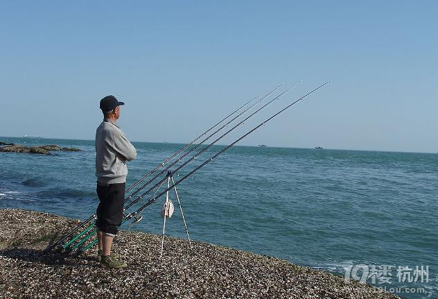 让你想不到的钓鱼偏方-Shopping帮-杭州19楼
