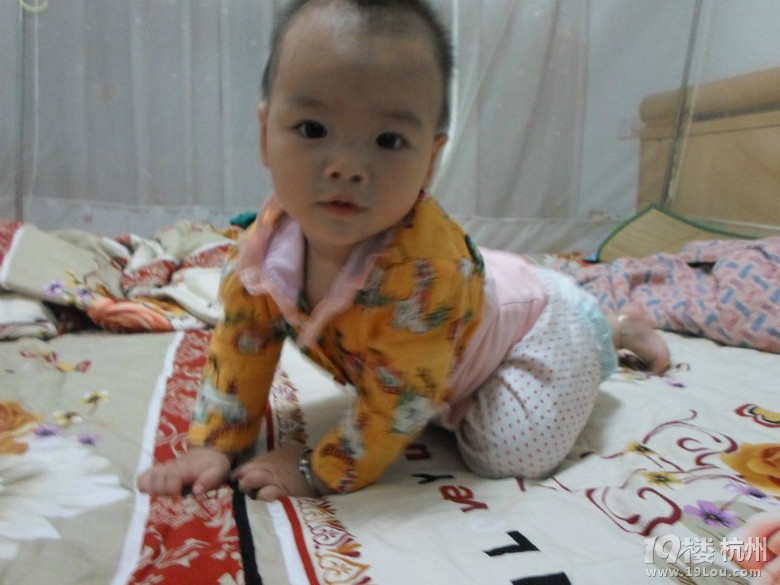 十个月宝宝持续腹泻,该不该断奶?母乳的错?-婴