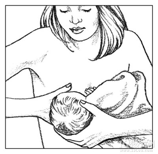 什么樣的哺乳姿勢比較好？