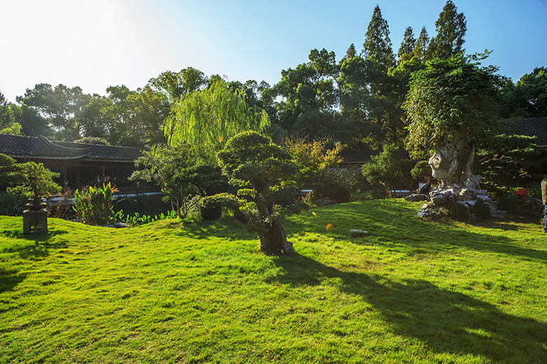<em>花圃</em>[盆景园]-风景照-19摄区-杭州<em>19楼</em>