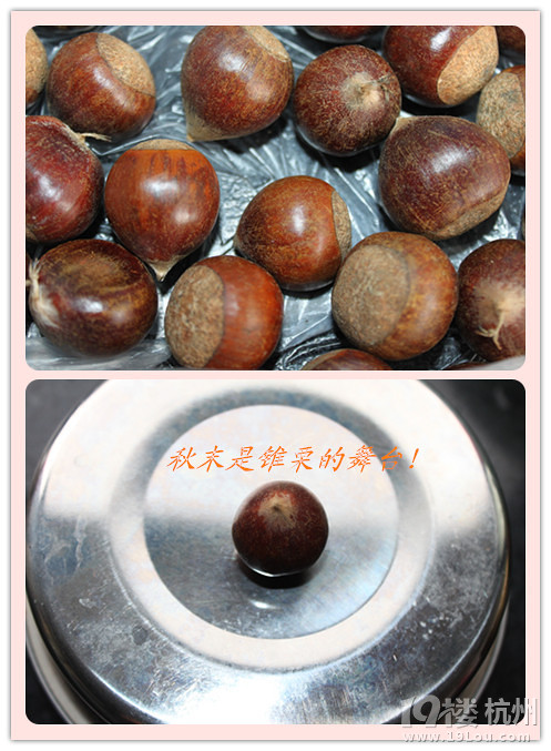 小身材，大舞臺(tái)，錐栗也能做成美食——雙寶媽