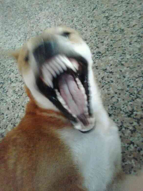 又翻到你的照片了 心里真的好难过好难过-家有