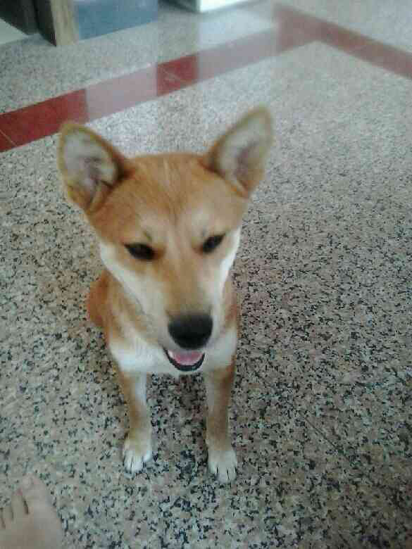 又翻到你的照片了 心里真的好难过好难过-家有