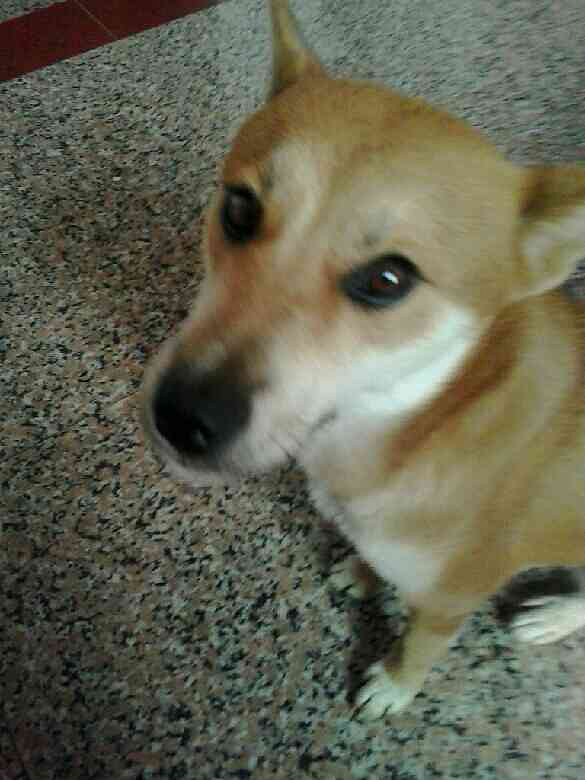 又翻到你的照片了 心里真的好难过好难过-家有