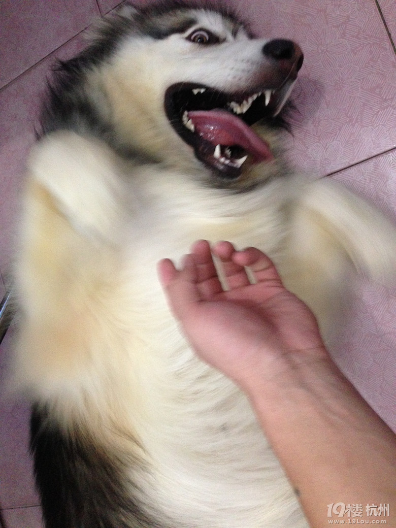 ˹Ů