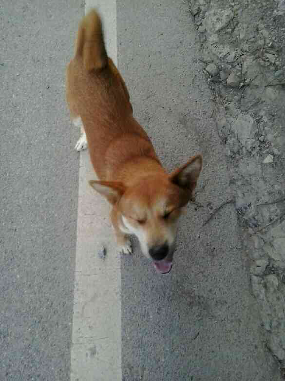 又翻到你的照片了 心里真的好难过好难过-家有